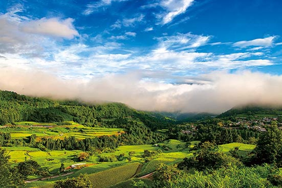 美しい棚田が広がる風景（本山町）